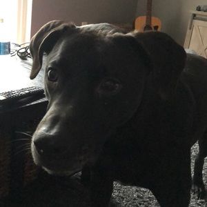 Meet your Posher, Edita